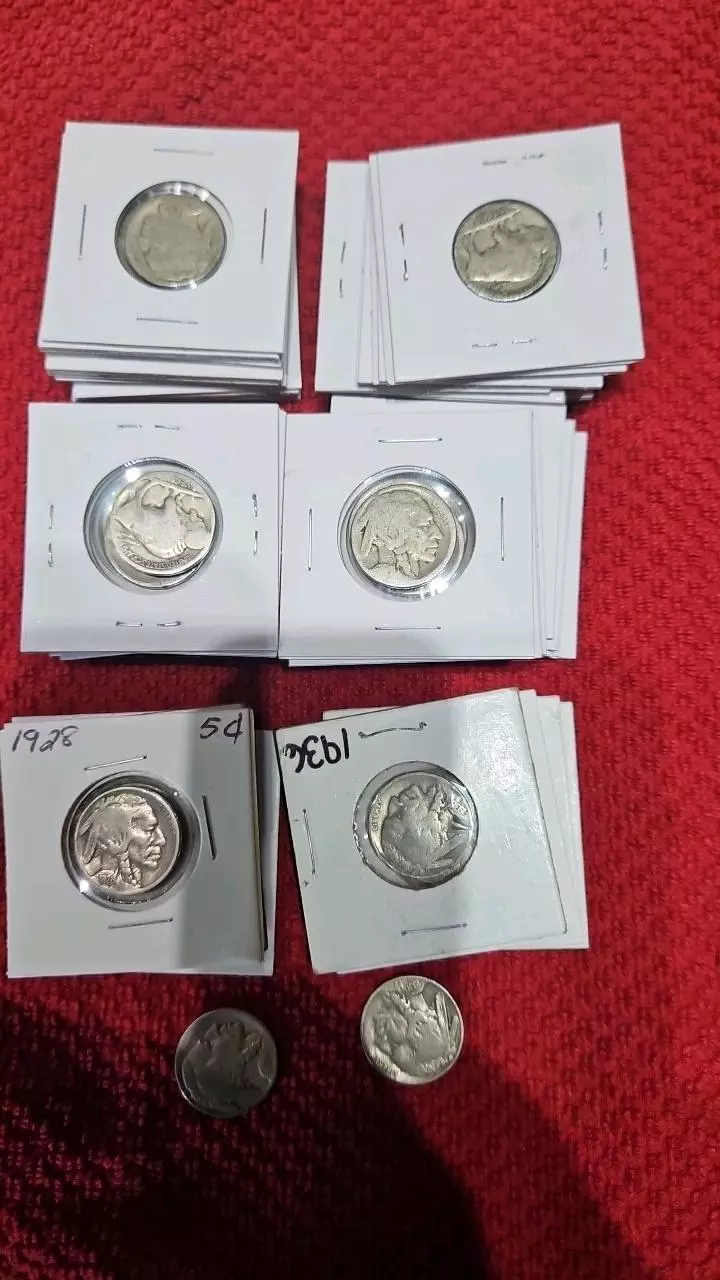 plant/50 Buffalo nickels-0