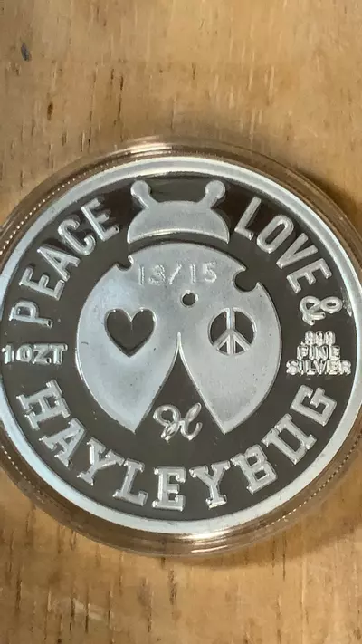 plant/Hayleybug 13/15 Blue Baby Dragon-1-thumbnail