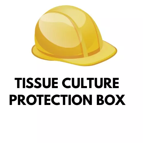 plant/Thick plastic box to protect tissue cultures❤️-0