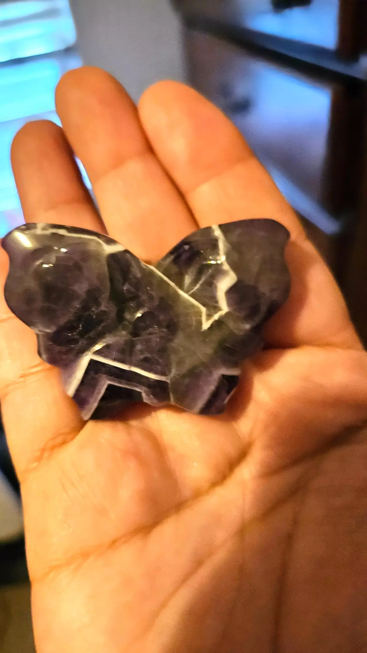 plant/Chevron Amethyst Butterfly-0