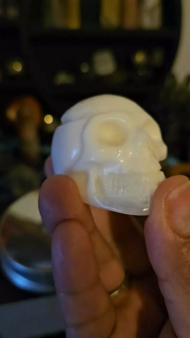 plant/Calcite Skull-3