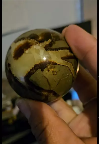 plant/Septarian Skeleton Sphere-3-thumbnail