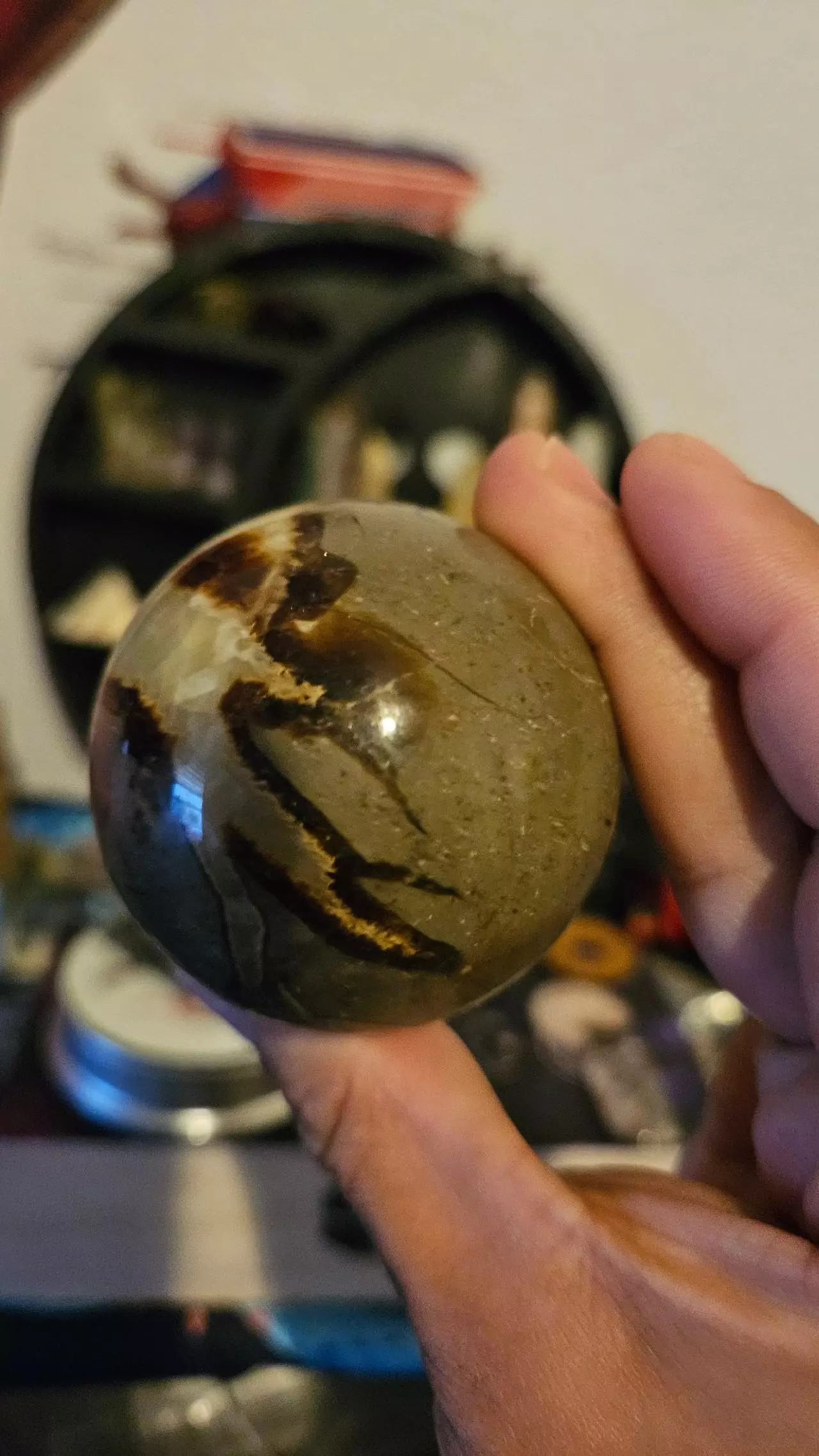 plant/Septarian Skeleton Sphere-1