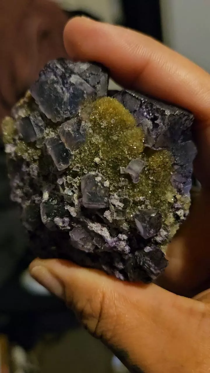plant/Blueberry Fluorite with Druzy-0