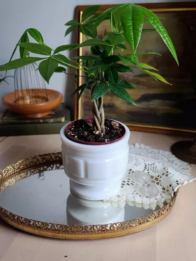 plant/Vintage Milk Glass Planter/Vase-0-thumbnail
