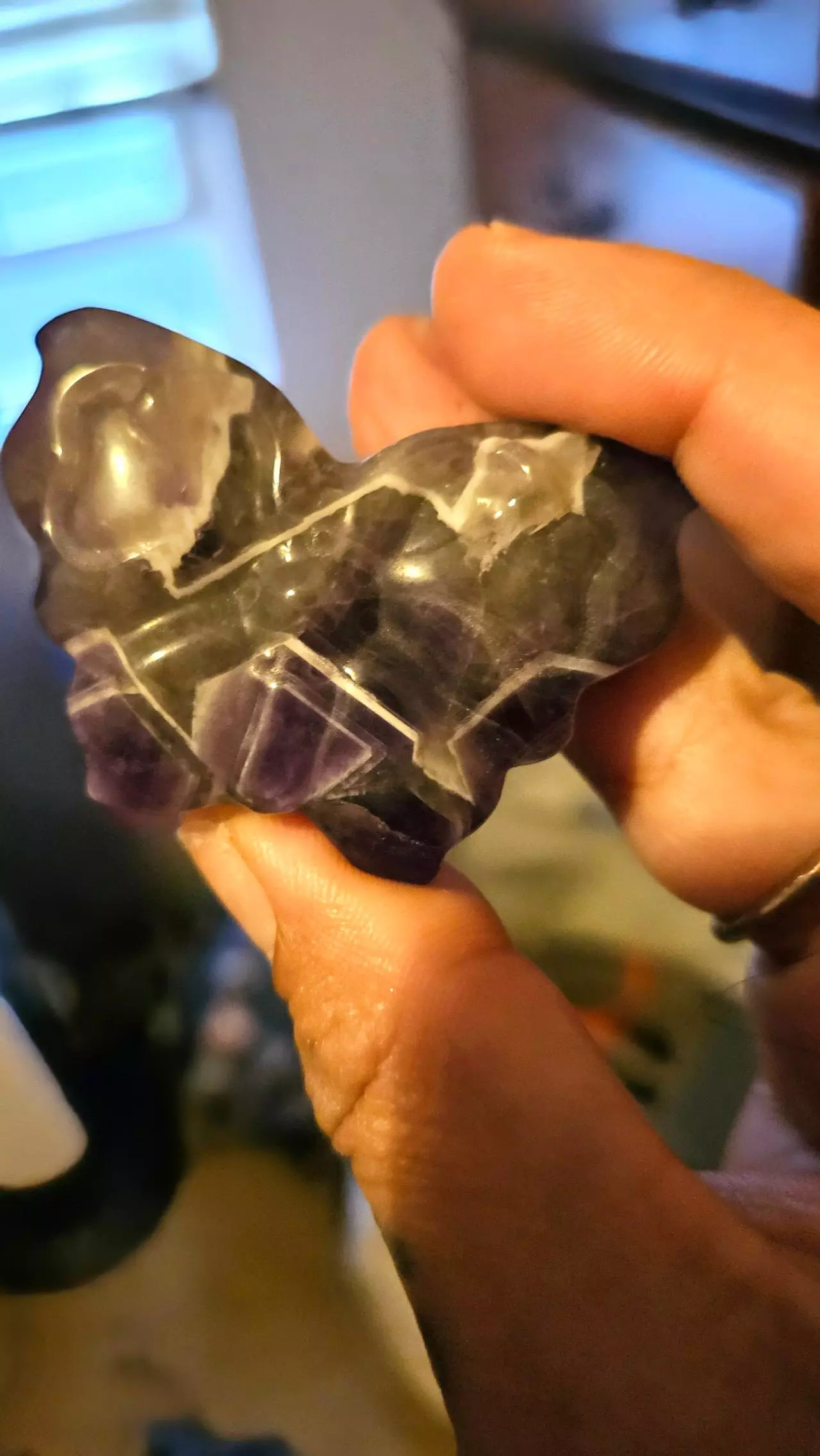 plant/Chevron Amethyst Butterfly-1