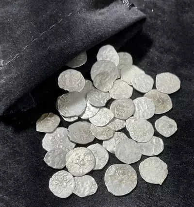 plant/Ancient Wholesale Box - Pre-Order-6-thumbnail