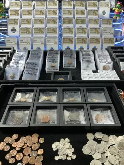 plant/Ancient Wholesale Box - Pre-Order-5-thumbnail