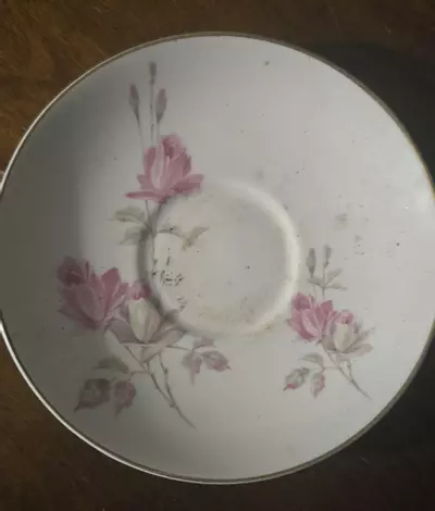 plant/Rose Saucer-0-thumbnail