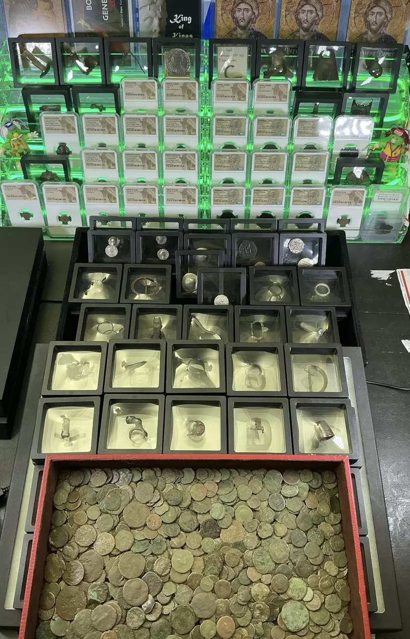 plant/Ancient Wholesale Box - Pre-Order-1