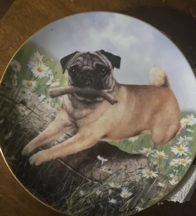 plant/Pug in Play Collection plate-0-thumbnail