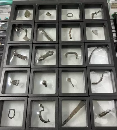 plant/Ancient Wholesale Box - Pre-Order-3-thumbnail