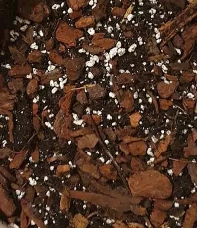 plant/Chunky soil mix-0-thumbnail