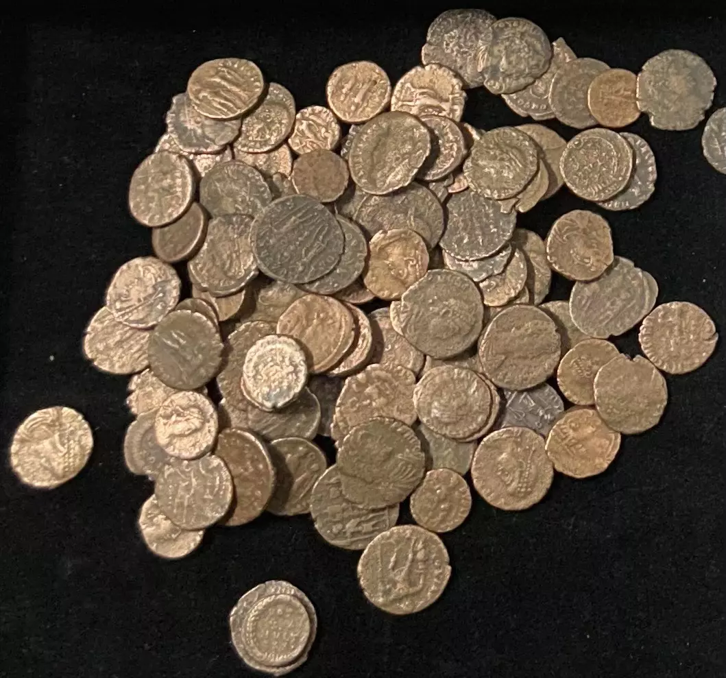 plant/Ancient Wholesale Box - Pre-Order-8