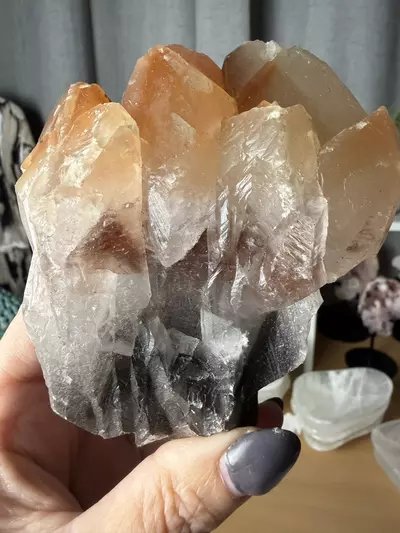 plant/Monarch Butterfly Calcite from Mexico-1-thumbnail