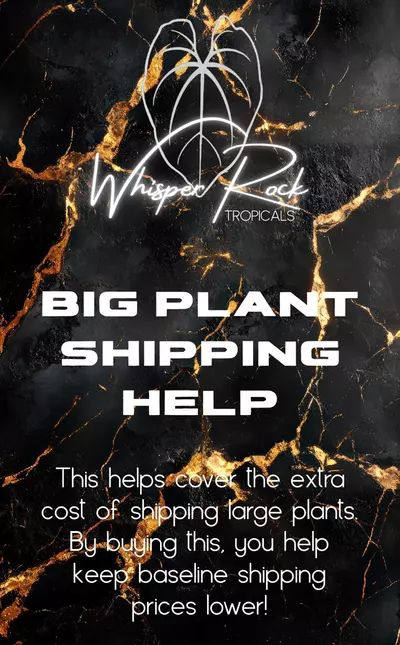 free_shipping/Big plant shipping help-0-thumbnail