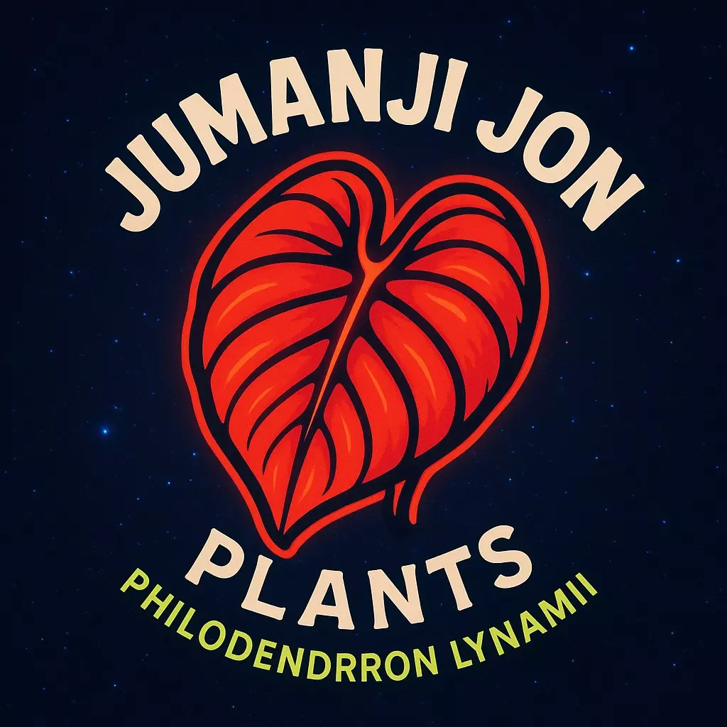 plant/Philodendron Lynamii TC-0