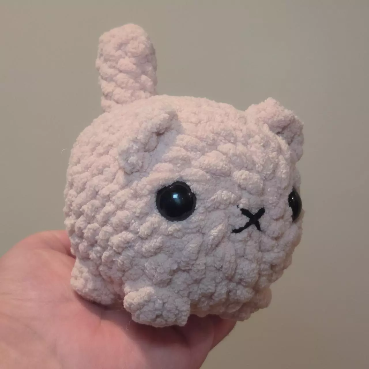 plant/Pink Cat 🐈-0