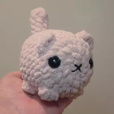 plant/Pink Cat 🐈-0-thumbnail