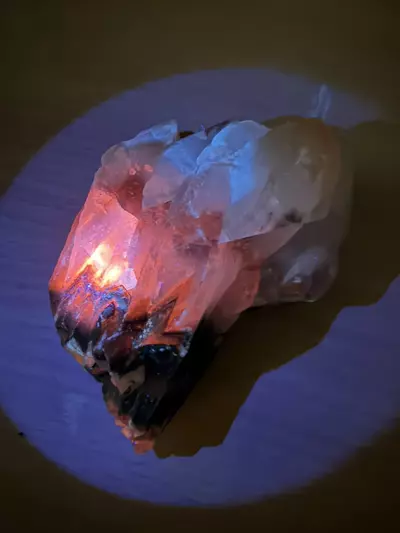 plant/Monarch Butterfly Calcite from Mexico-2-thumbnail