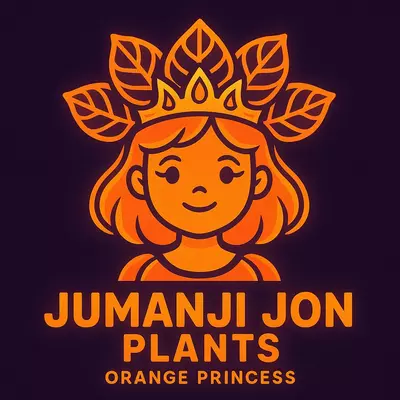 plant/Philodendron Orange Princess TC-0-thumbnail