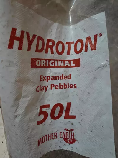 plant/2 LB Leca-0-thumbnail