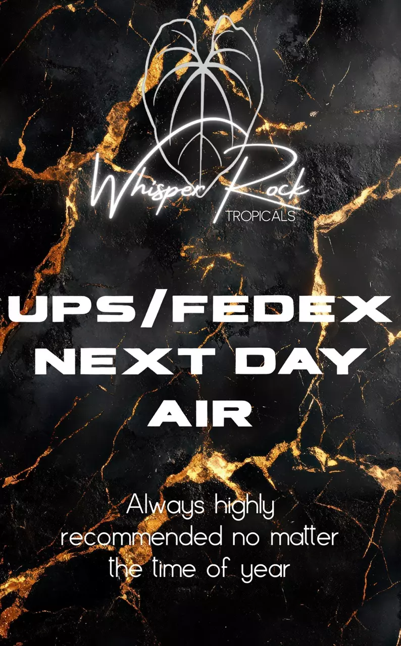 shipping_upgrade/UPS/FedEx Next Day Air-0