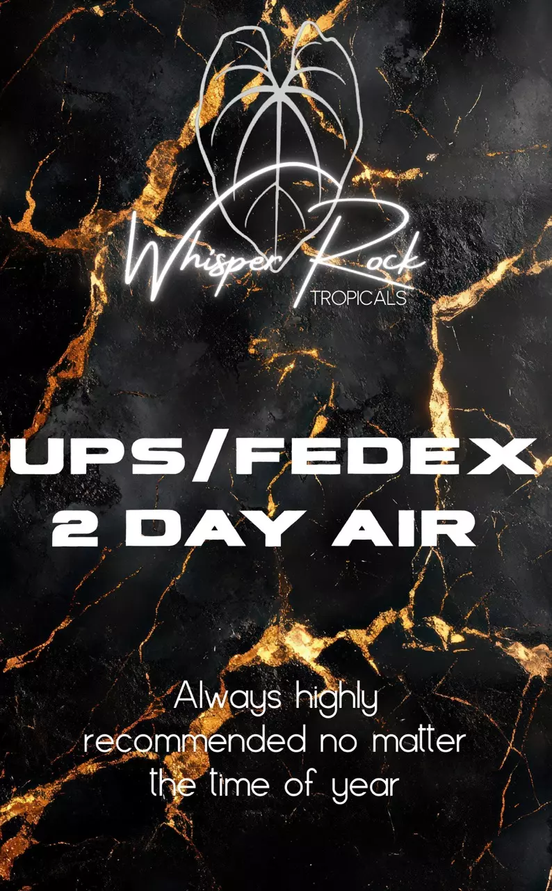 shipping_upgrade/UPS/FedEx 2 Day Air-0