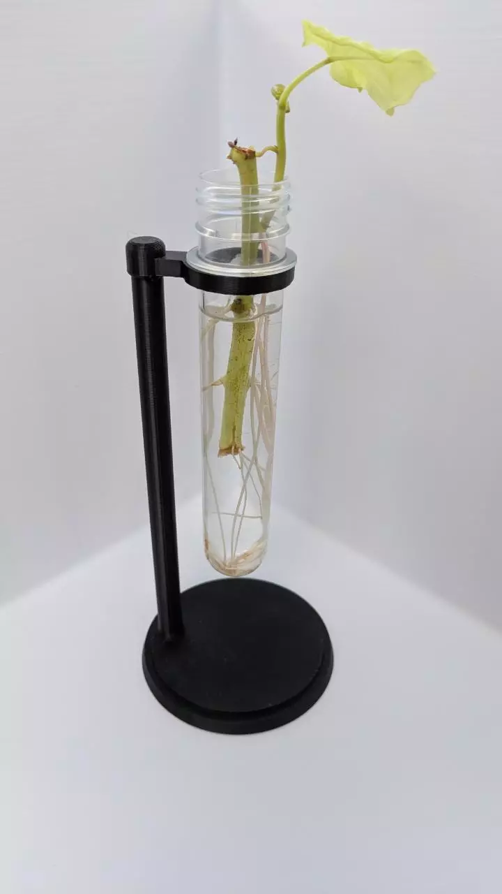 plant/Propagation Holder Circle - Tissue Culture Tube Holder-0