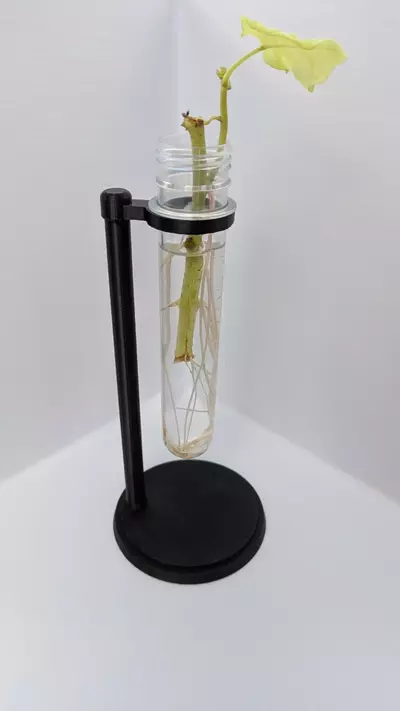 plant/Propagation Holder Circle - Tissue Culture Tube Holder-0-thumbnail