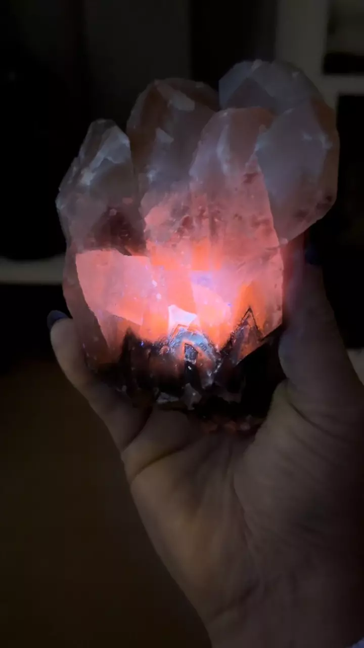 plant/Monarch Butterfly Calcite from Mexico-3