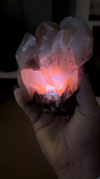 plant/Monarch Butterfly Calcite from Mexico-3-thumbnail