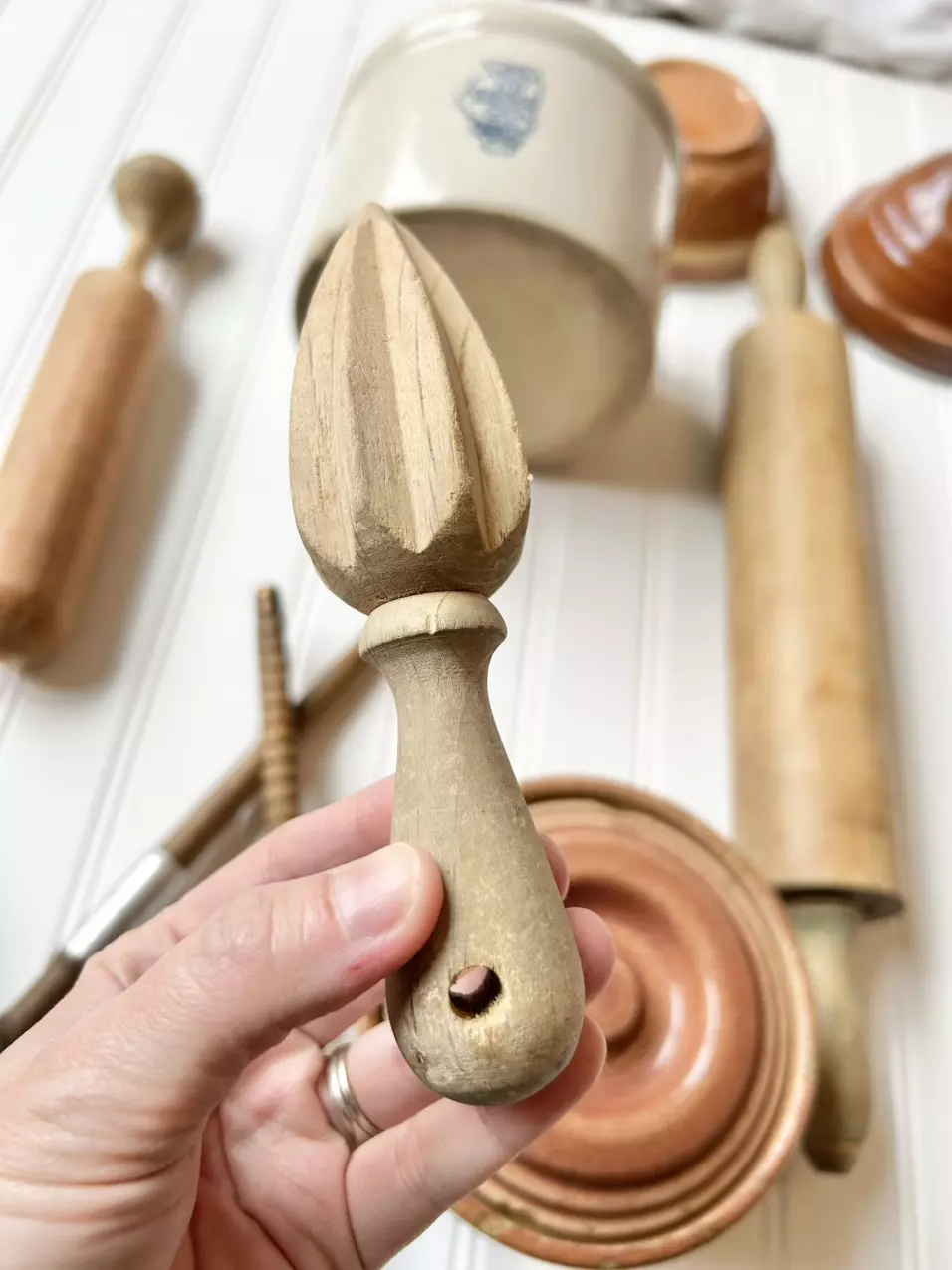 plant/Vintage citrus reemer-0