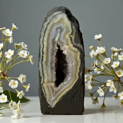 plant/Small Amethyst Cathedral Geode-0-thumbnail