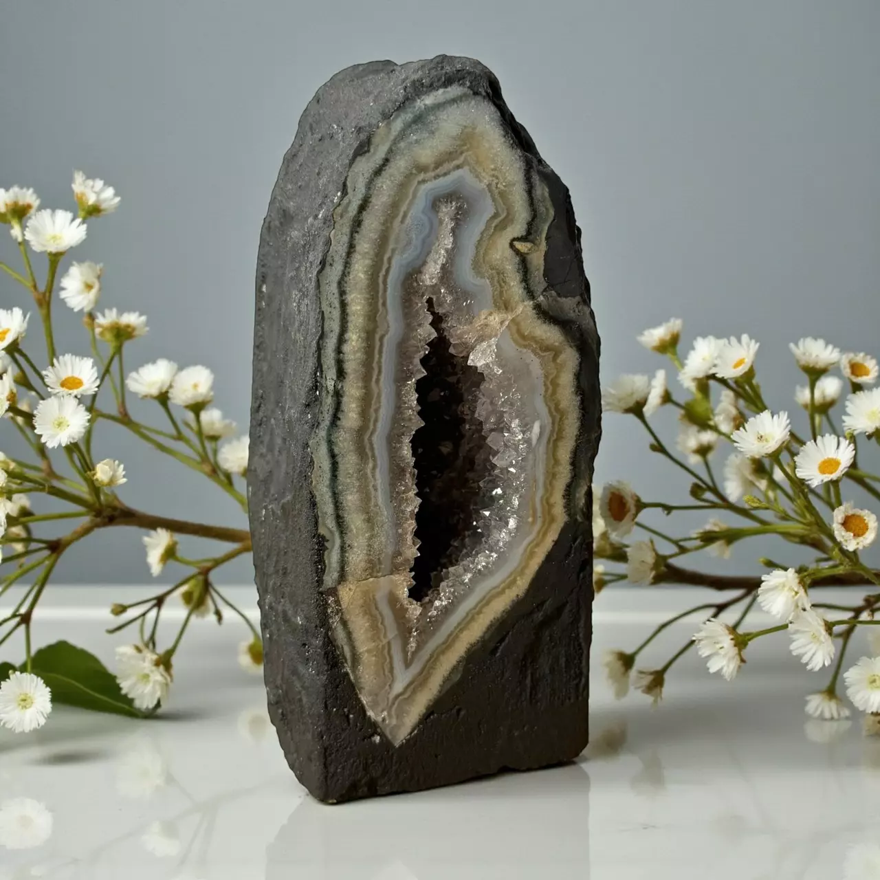 plant/Small Amethyst Cathedral Geode-1