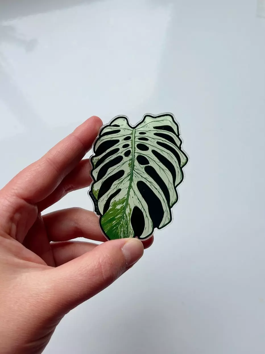 plant/Devil Monstera Acrylic Magnet-0