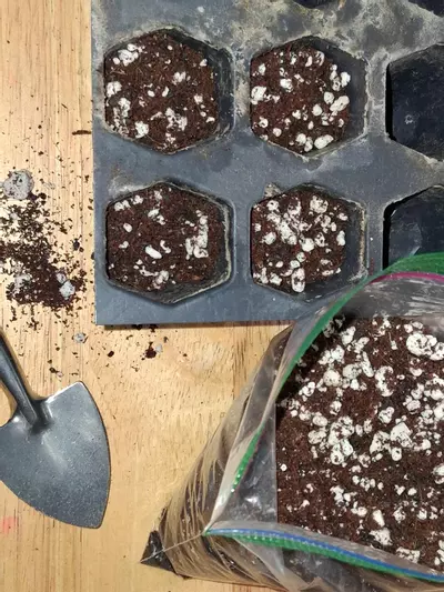 plant/Tissue Culture Soil-1-thumbnail