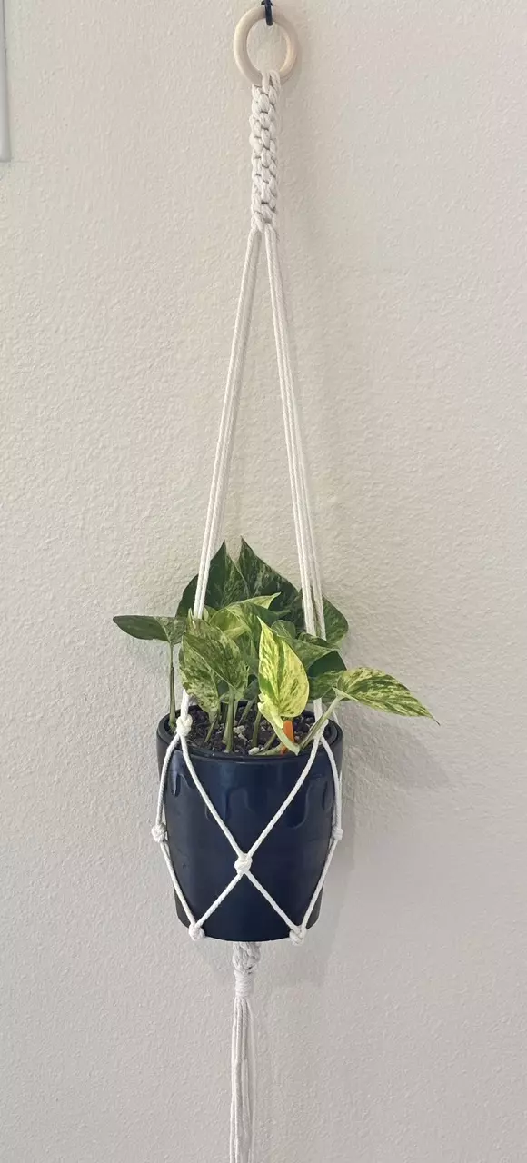 plant/2pcs Handmade macrame plant hanger-2