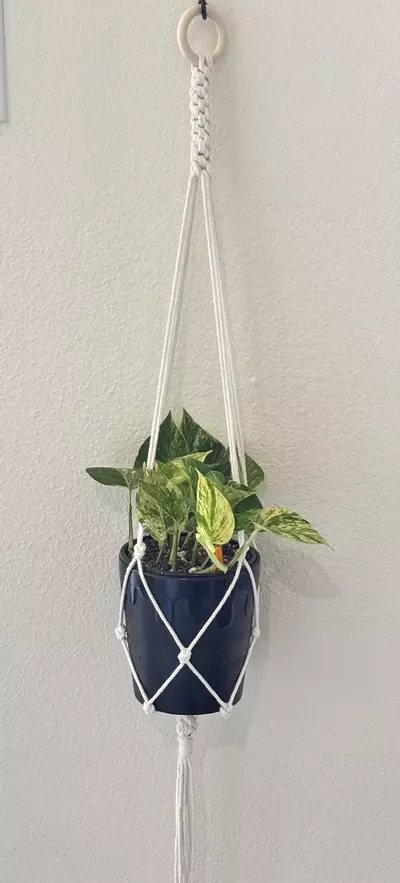 plant/2pcs Handmade macrame plant hanger-2-thumbnail