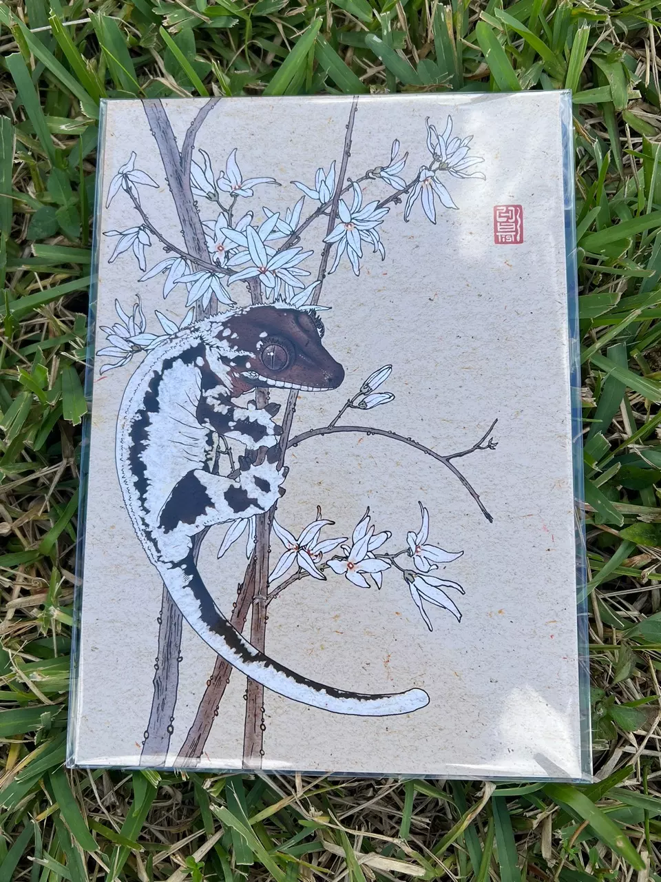 plant/Frappuccino Print 8.5” x 11.5”-0