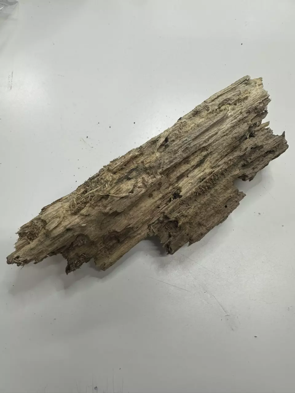 plant/Good Wood 1oz-0