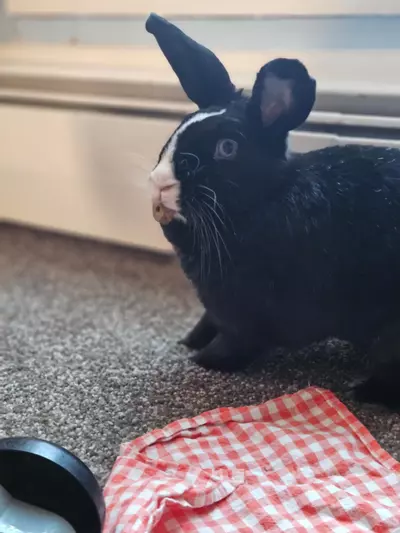 shipping_upgrade/2 DAY-0-thumbnail