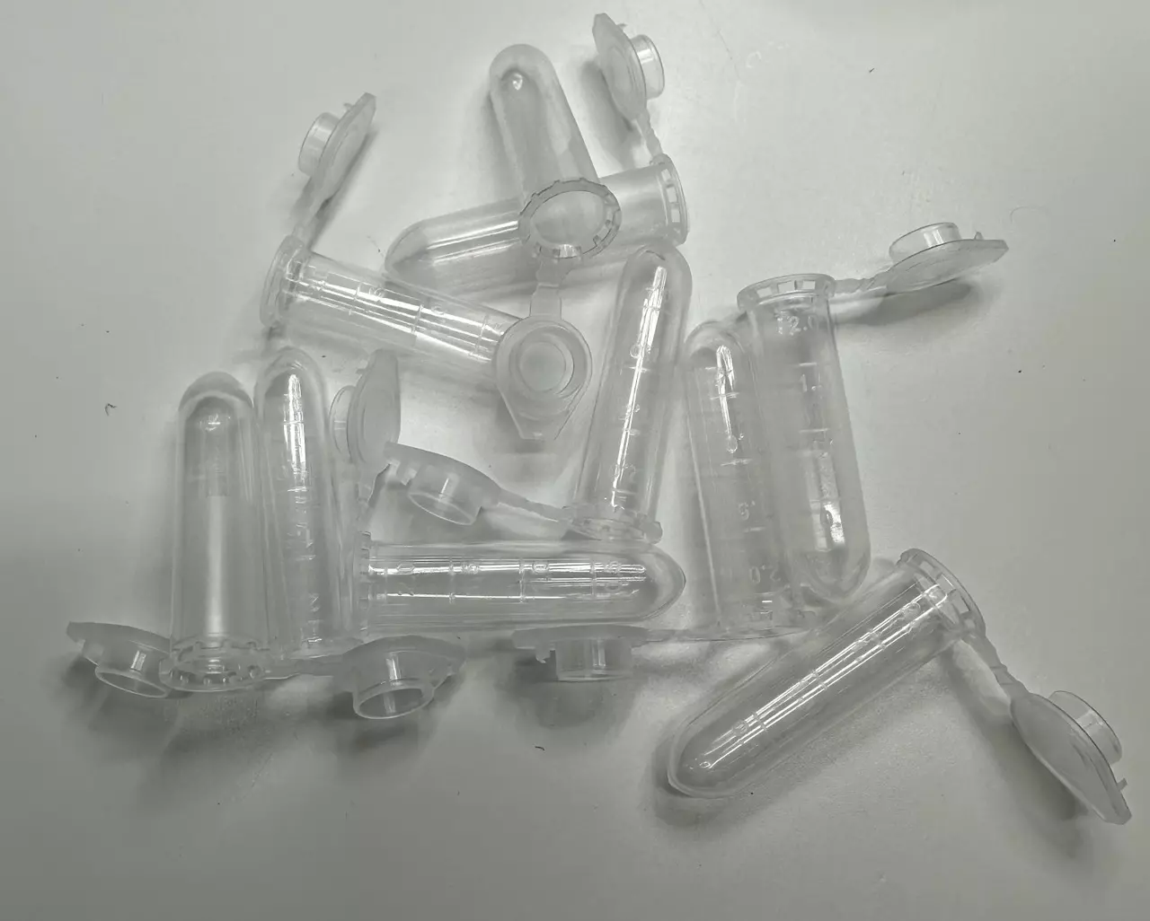 plant/10x Tarantula Shipping Vial - 2mL (10pack)-0