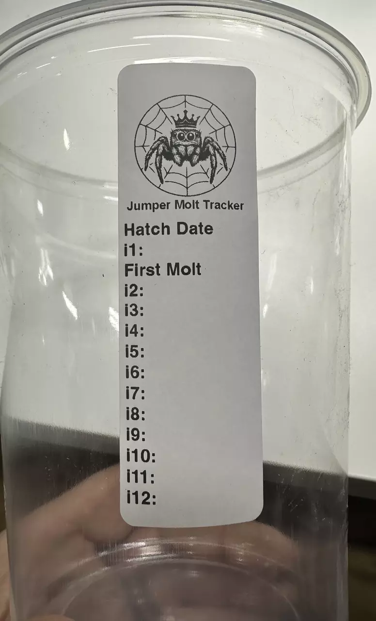 plant/10x Jumper Molt Tracker-0