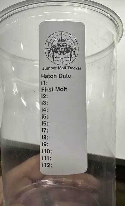 plant/10x Jumper Molt Tracker-0-thumbnail