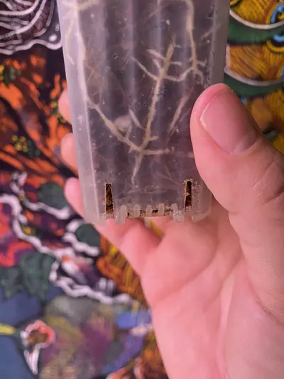 plant/Hoya Polystacha-2-thumbnail