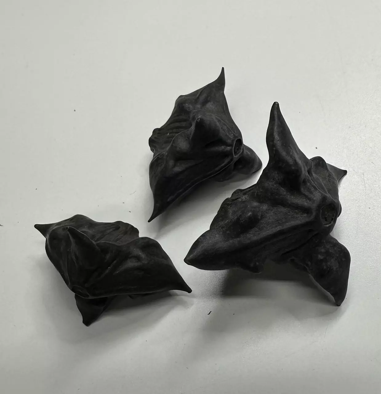 plant/3X Witch’s Dice Demon SeedPods)-0