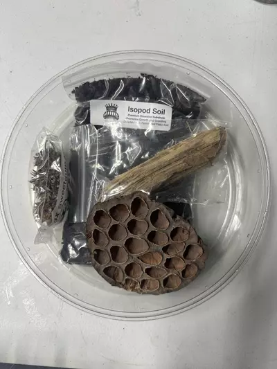 plant/Isopod Habitat Kit-0-thumbnail