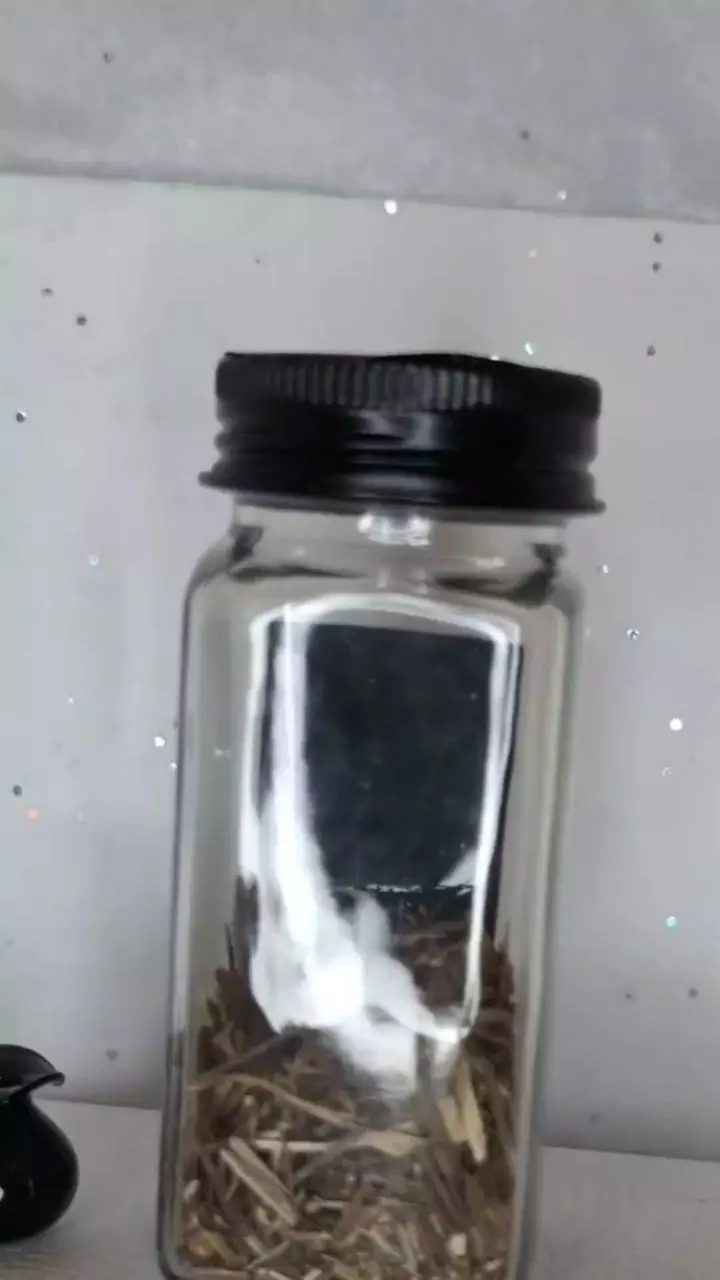 plant/Intention or Affirmation Charm kit-6