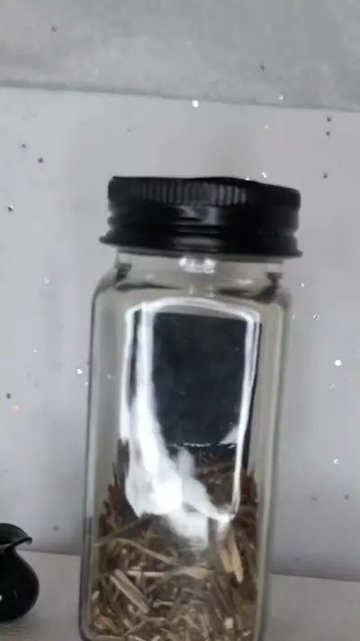 plant/Intention or Affirmation Charm kit-6-thumbnail